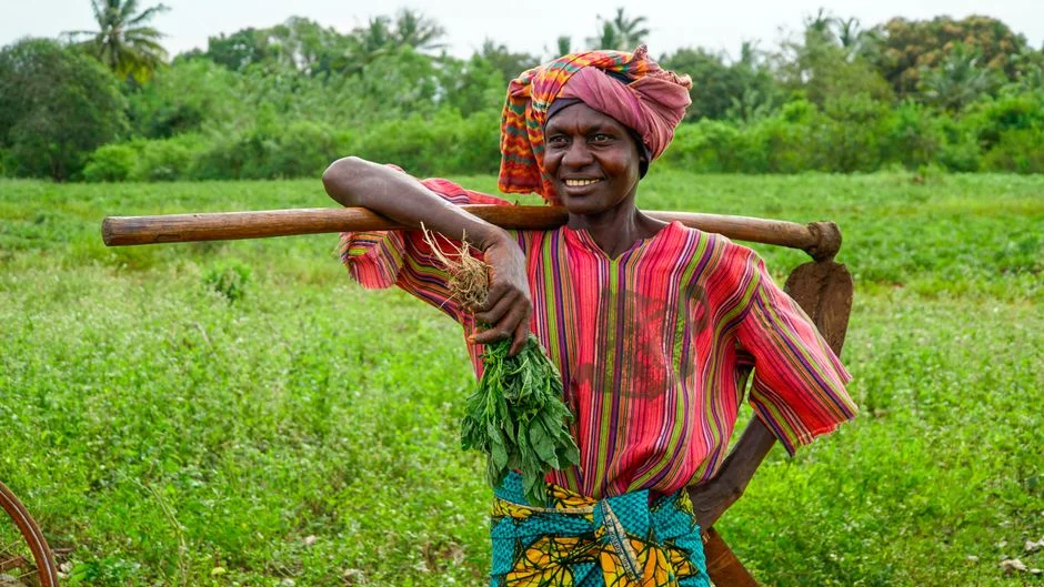 Ethiopia's El Niño Exception: Protect Your Kiremt and Meher Crops in a Drier Season