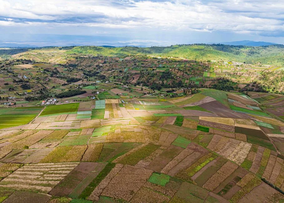 Kenya's 2026 Short Rains: Plant for a Wet October-December