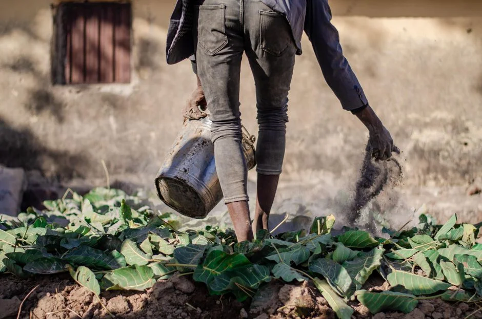 Small-Scale Irrigation: Carry Your Crop Through a Dry Spell with Drip, Treadle Pump or Watering Can