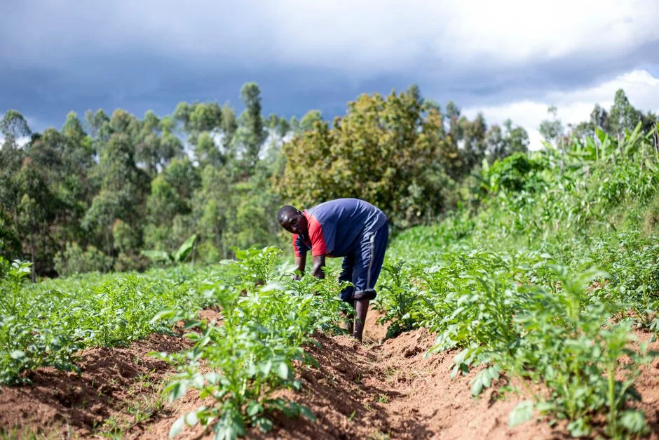 What Is El Niño — and What It Means for Your Farm in 2026/2027