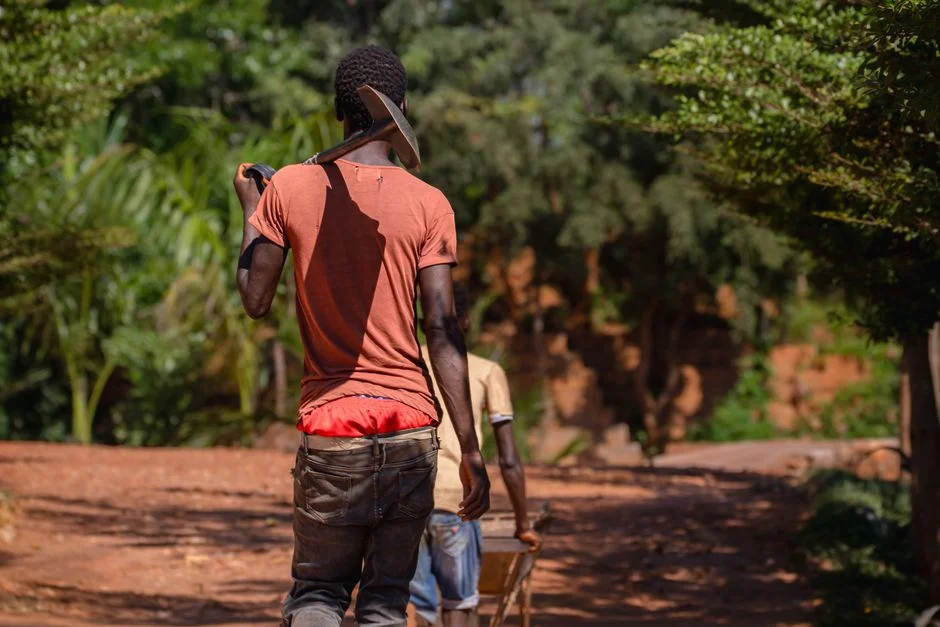 Malawi El Niño Plan: Drought-Tolerant Maize, Land Prep & Legumes