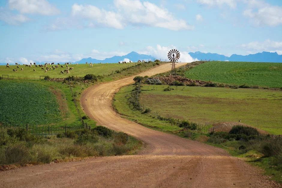 South Africa Smallholder Drought Guide: Index Insurance and Drought-Tolerant Seed for an El Niño Season