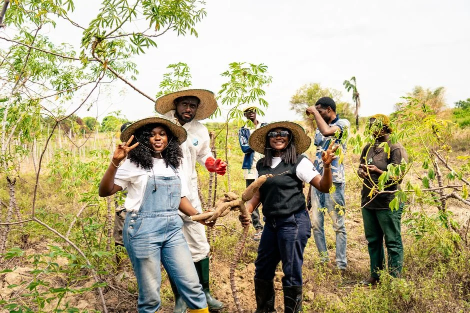 Zambia El Niño Dry-Season Prep: Land Basins and the Cassava Fallback