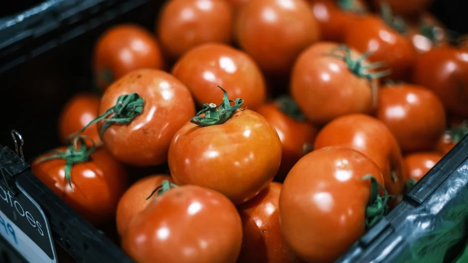 Tomato Post-Harvest Handling: How to Stop Losses