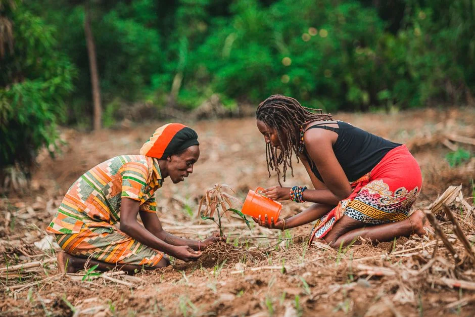 How to Time Your Planting to the First Real Rains and Beat a False Start (El Niño)
