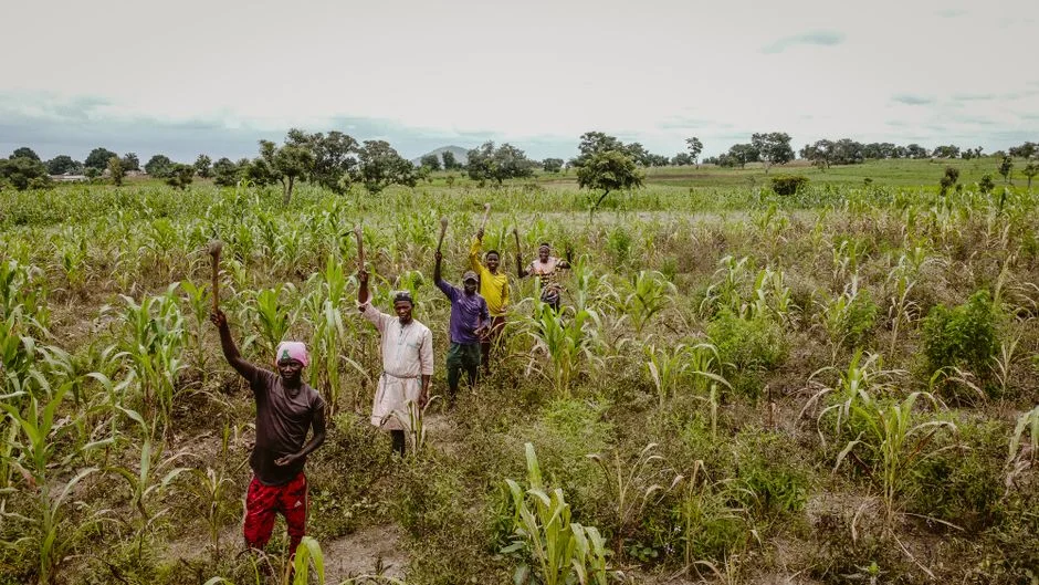 West Africa's Monsoon and El Niño: Protecting Your 2026 Main-Season Crop