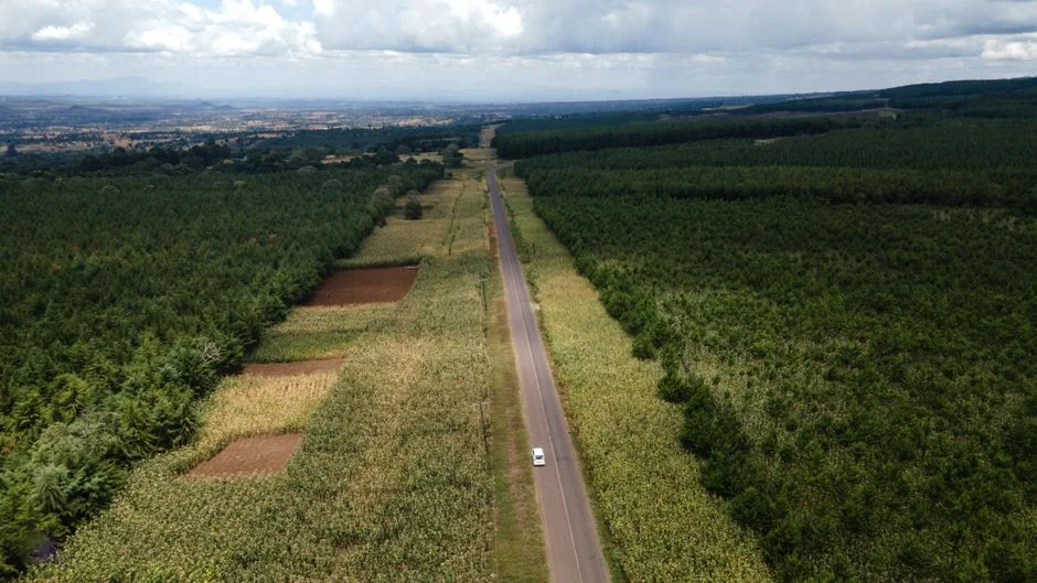 Tanzania Vuli Short Rains 2026: Where to Plant Under El Niño (and Where Not To)