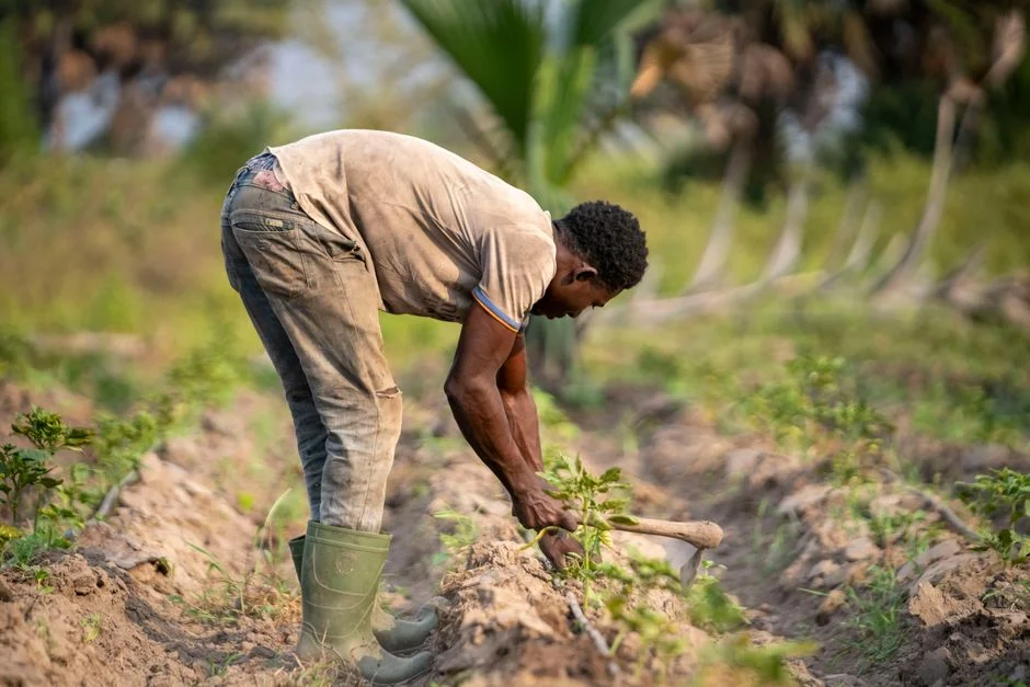 Working Safely in Extreme Heat: Protect Your Farm Team and Family