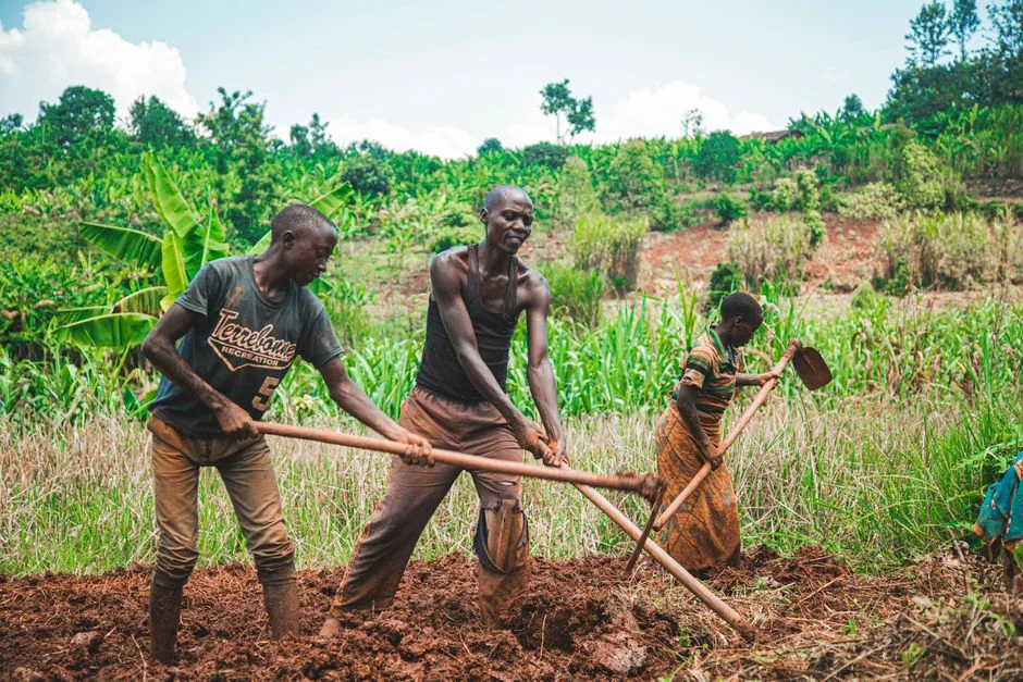 Zimbabwe Land Preparation for El Niño: Winter Ploughing and Pfumvudza Basins