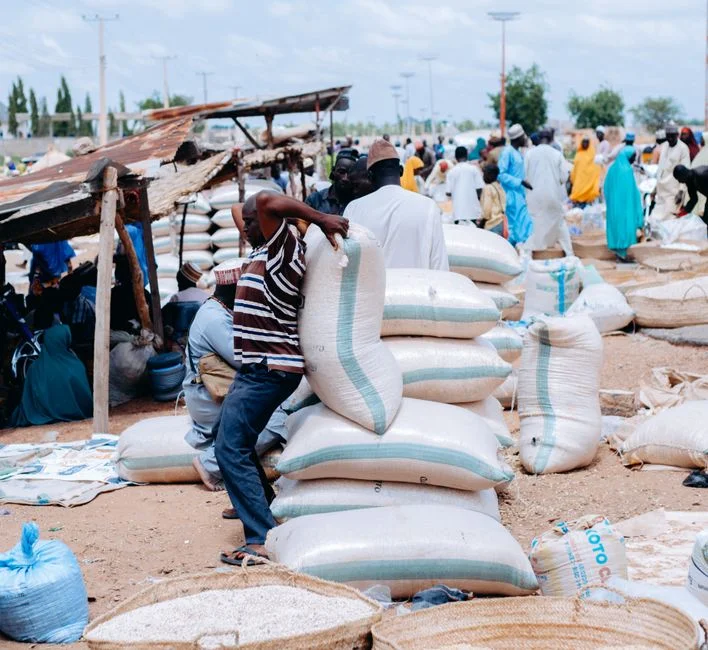 Soybean farming in a variable El Niño year: a cash legume that builds your soil