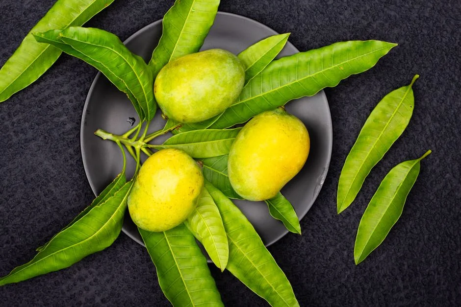 5 Simple Ways to Stop Mangoes Spoiling After Harvest
