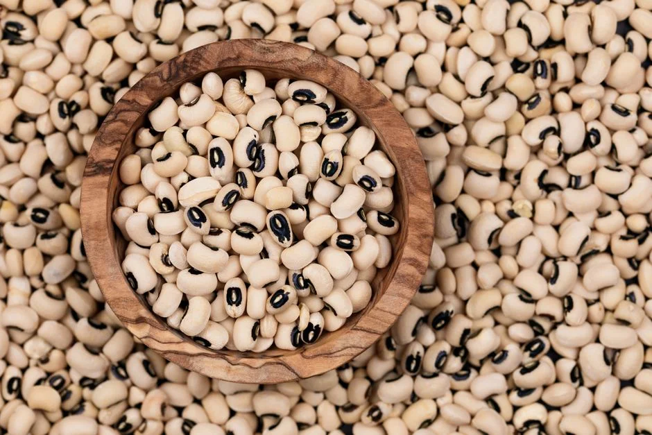 Cowpea (Niebe): The Sahel's Insurance Crop for a Shaky El Nino Monsoon