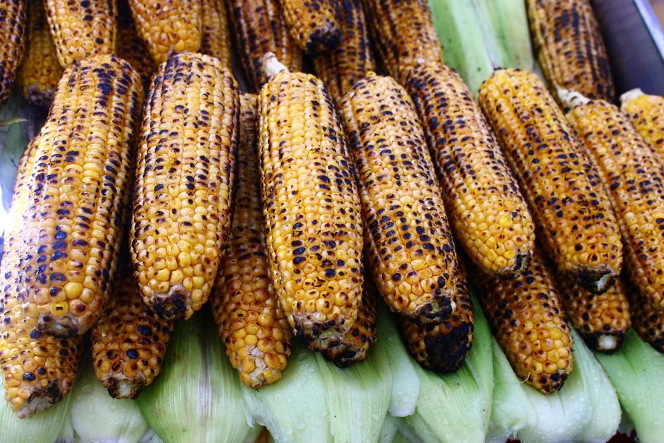 Green Mealies: How to Grow and Sell Fresh Maize Cobs for Early-Season Cash (Zimbabwe & SADC)