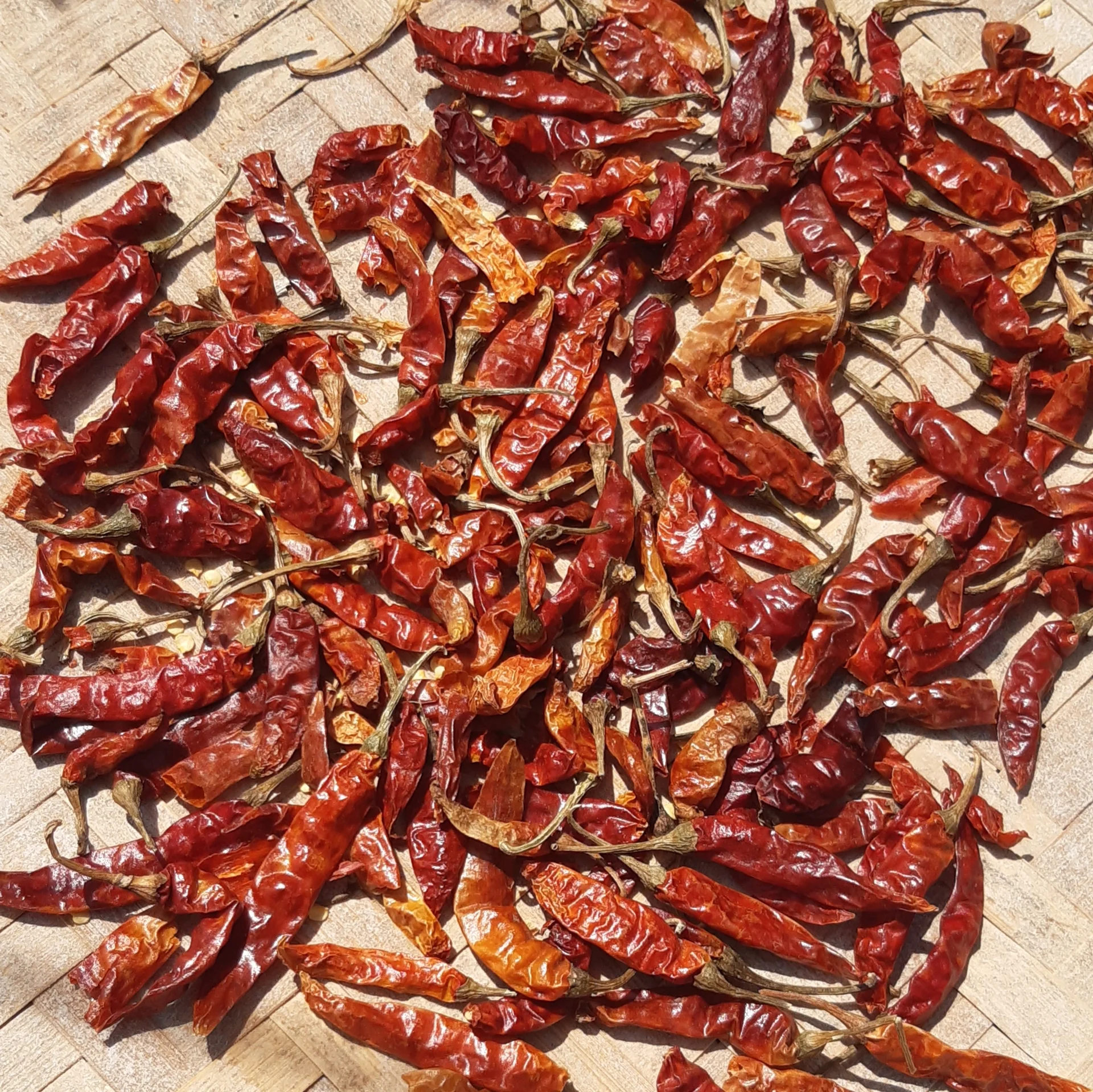 Dried red chilli pods spread out to dry on a woven mat