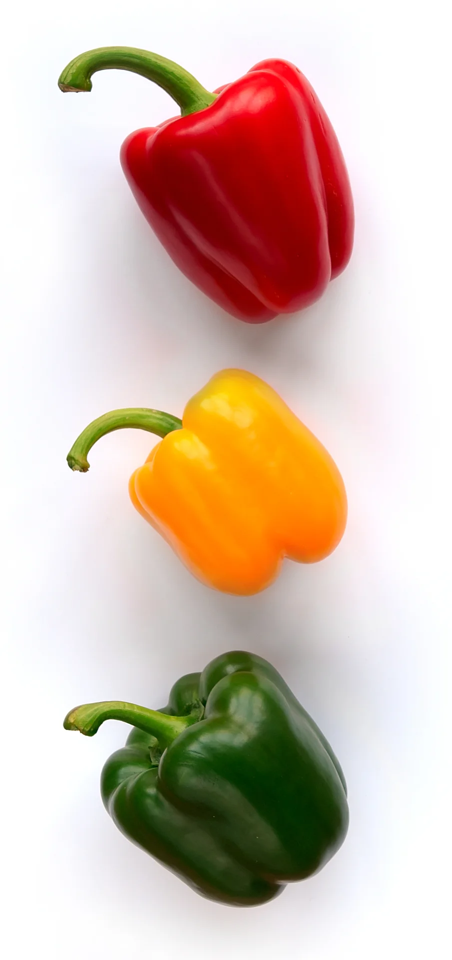 Red, yellow and green sweet (bell) peppers — the same thick-walled fruit at three stages of ripeness