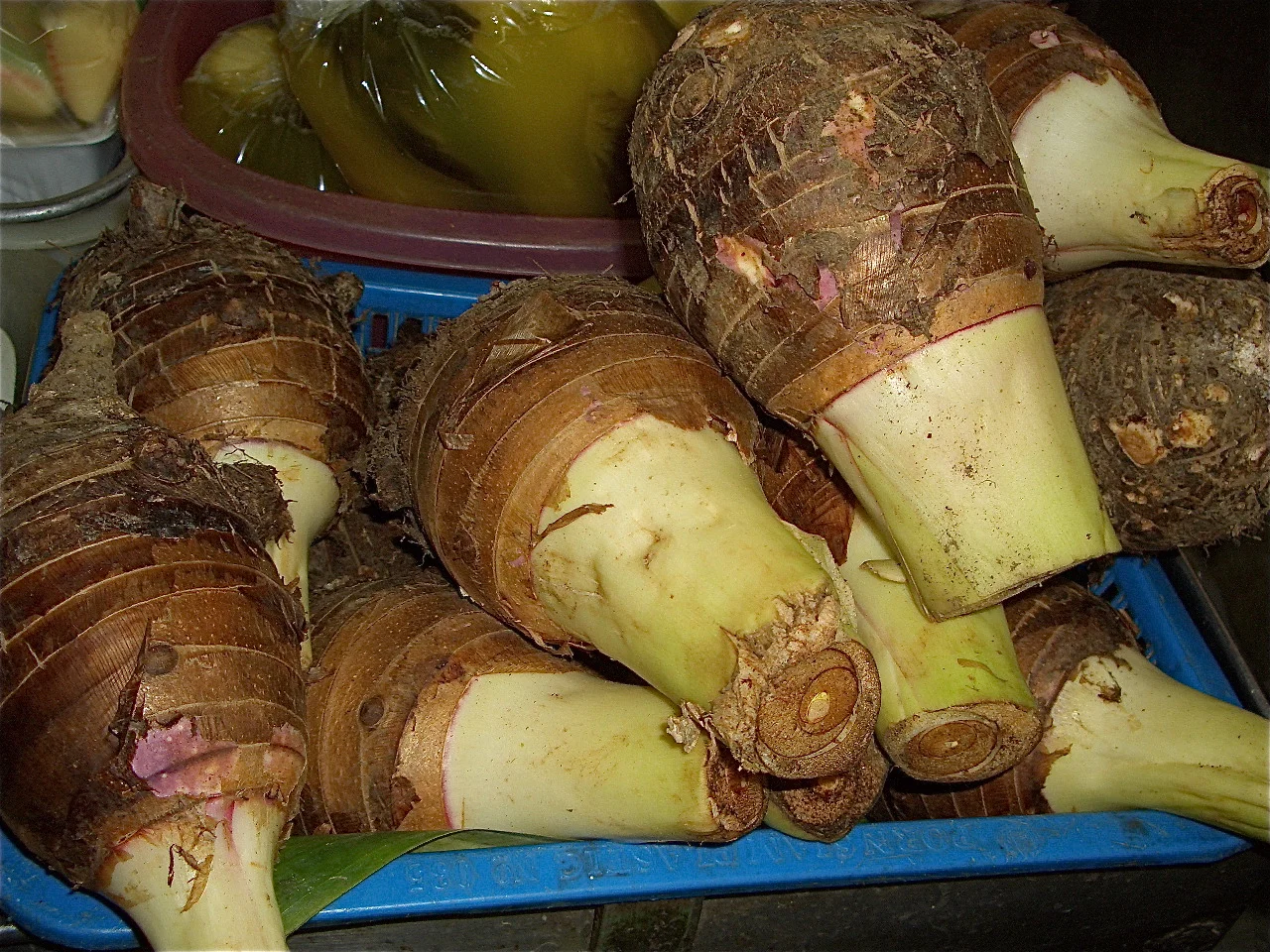 Harvested taro (cocoyam) corms: heavy brown ringed tubers with pale cut flesh