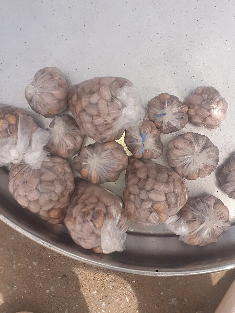 Groundnut rosette disease