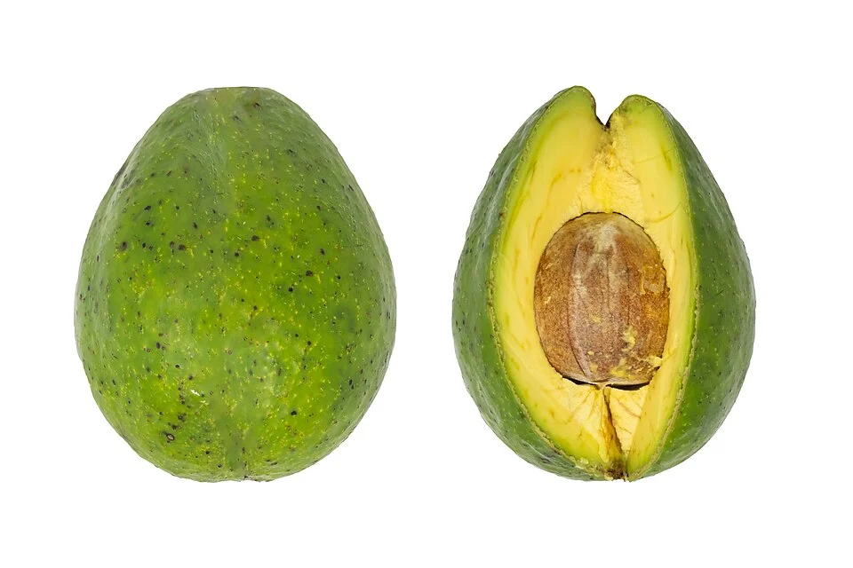 Avocado
