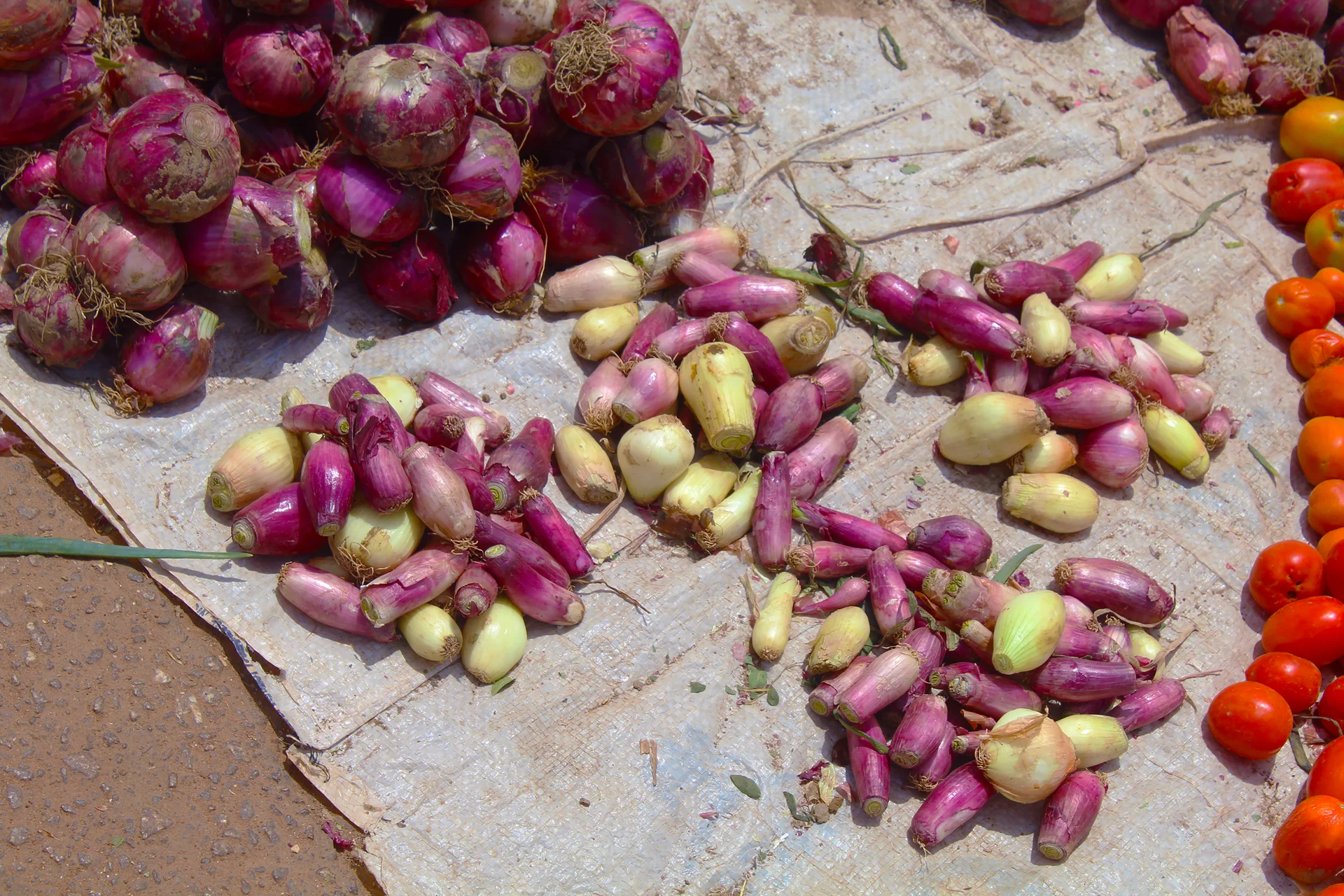 Red onion bulbs for sale at a market in Kaduna, Nigeria