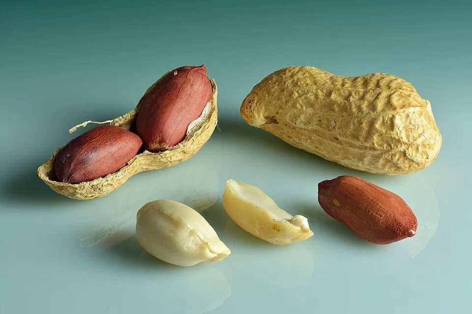 Groundnut